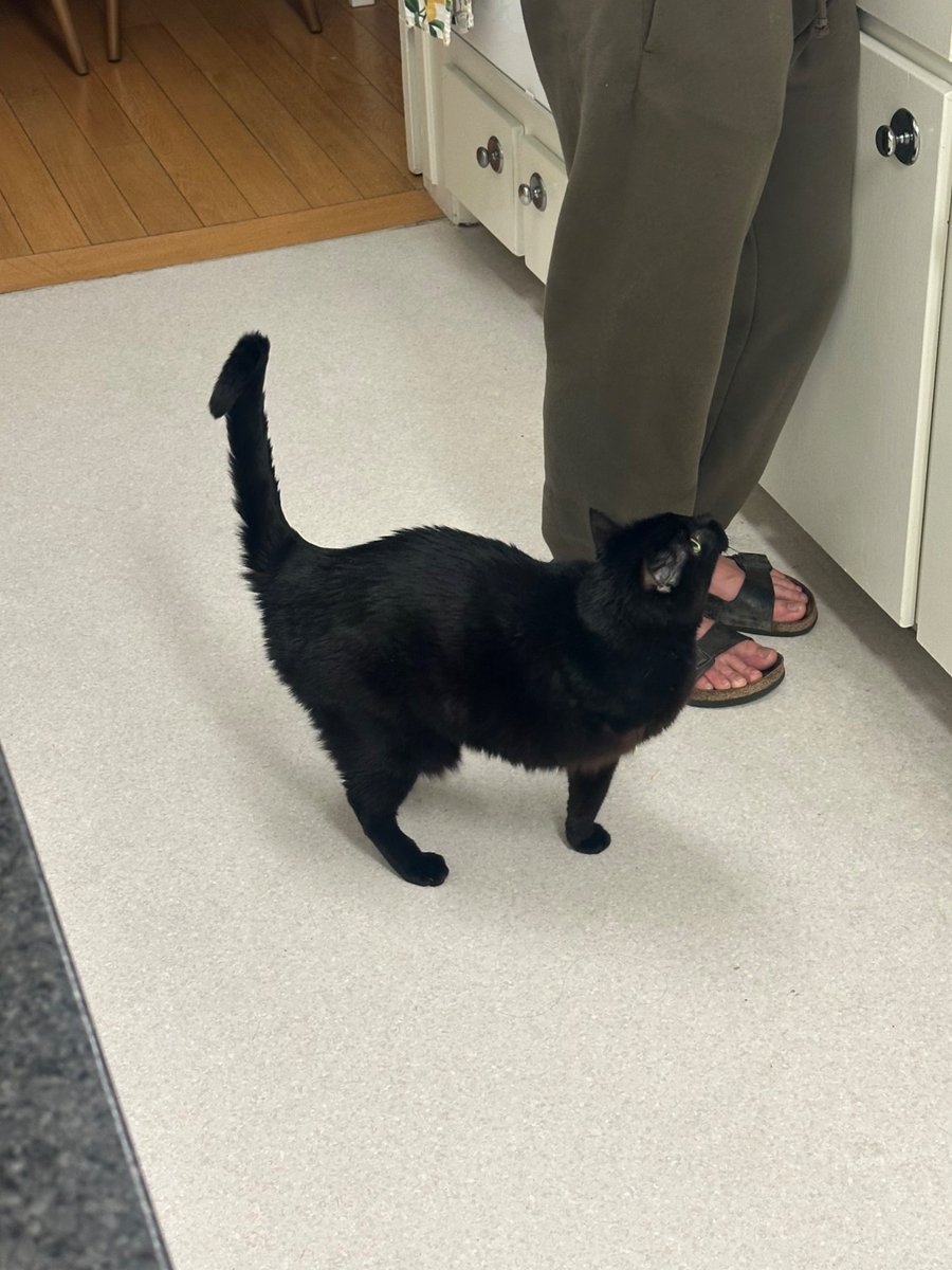 roberto updates 🇵🇸 tweet media