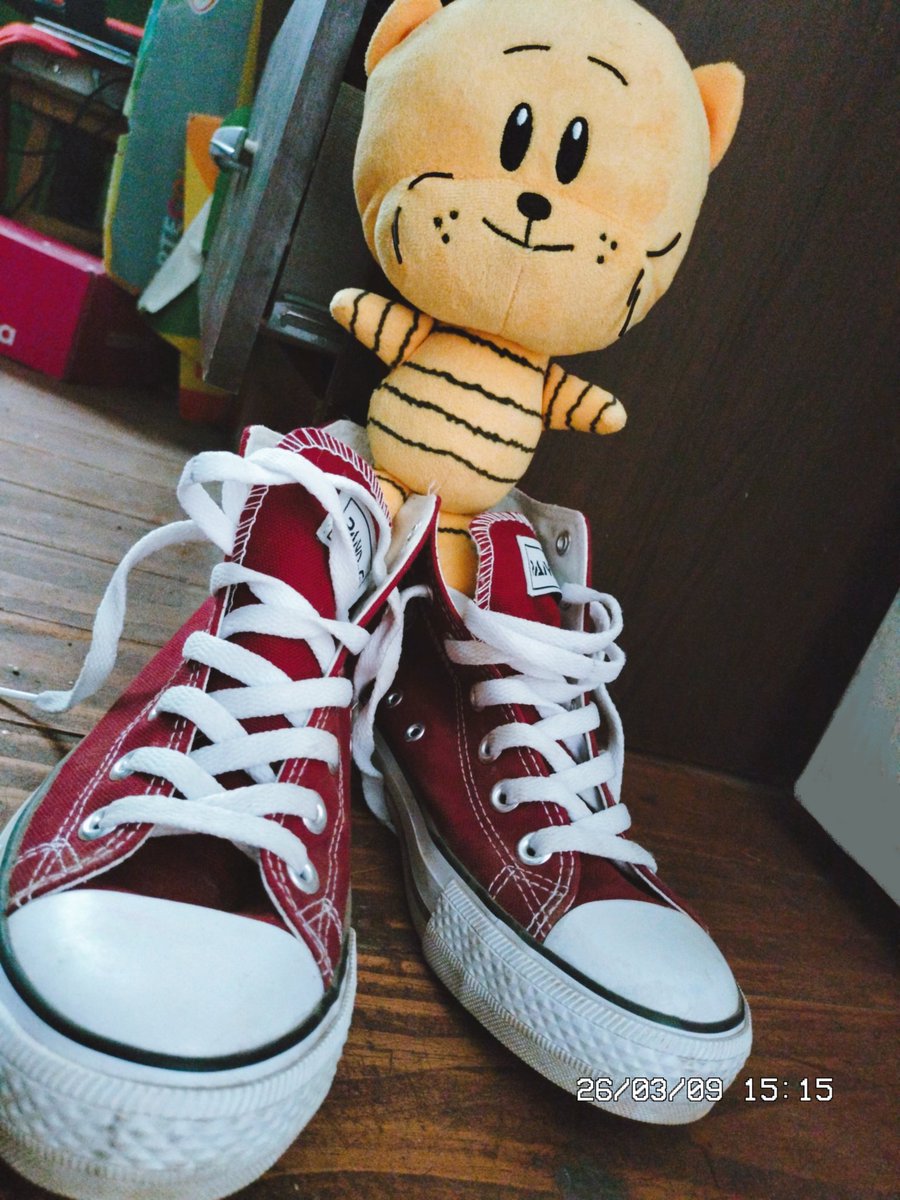 dei_art3's tweet photo. Ya son unos 4 meses que tengo mi peluche de Lil' petey y lo adoro ✨
Son las mejores fotos que tengo del peluche✨🧡 #dogman #lilpetey https://t.co/SIXRHkqE7B