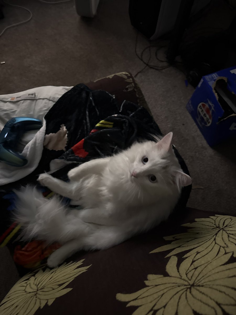 UndeadHacky tweet media