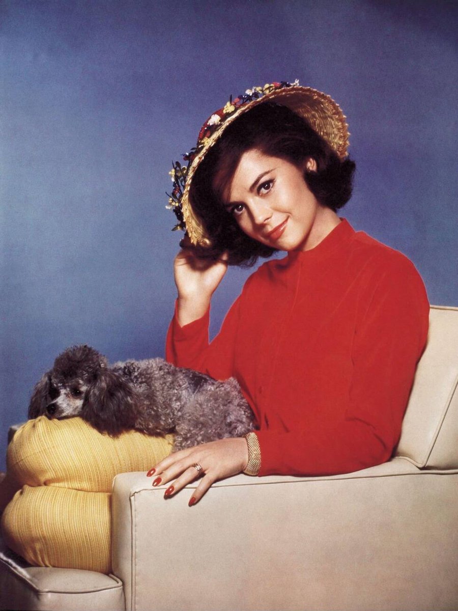 paige 🪼 tweet media