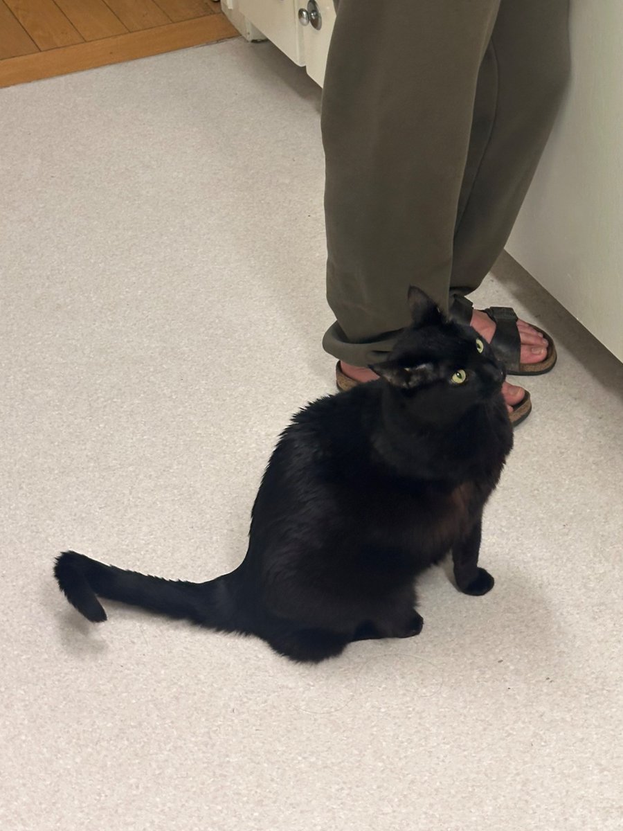 roberto updates 🇵🇸 tweet media