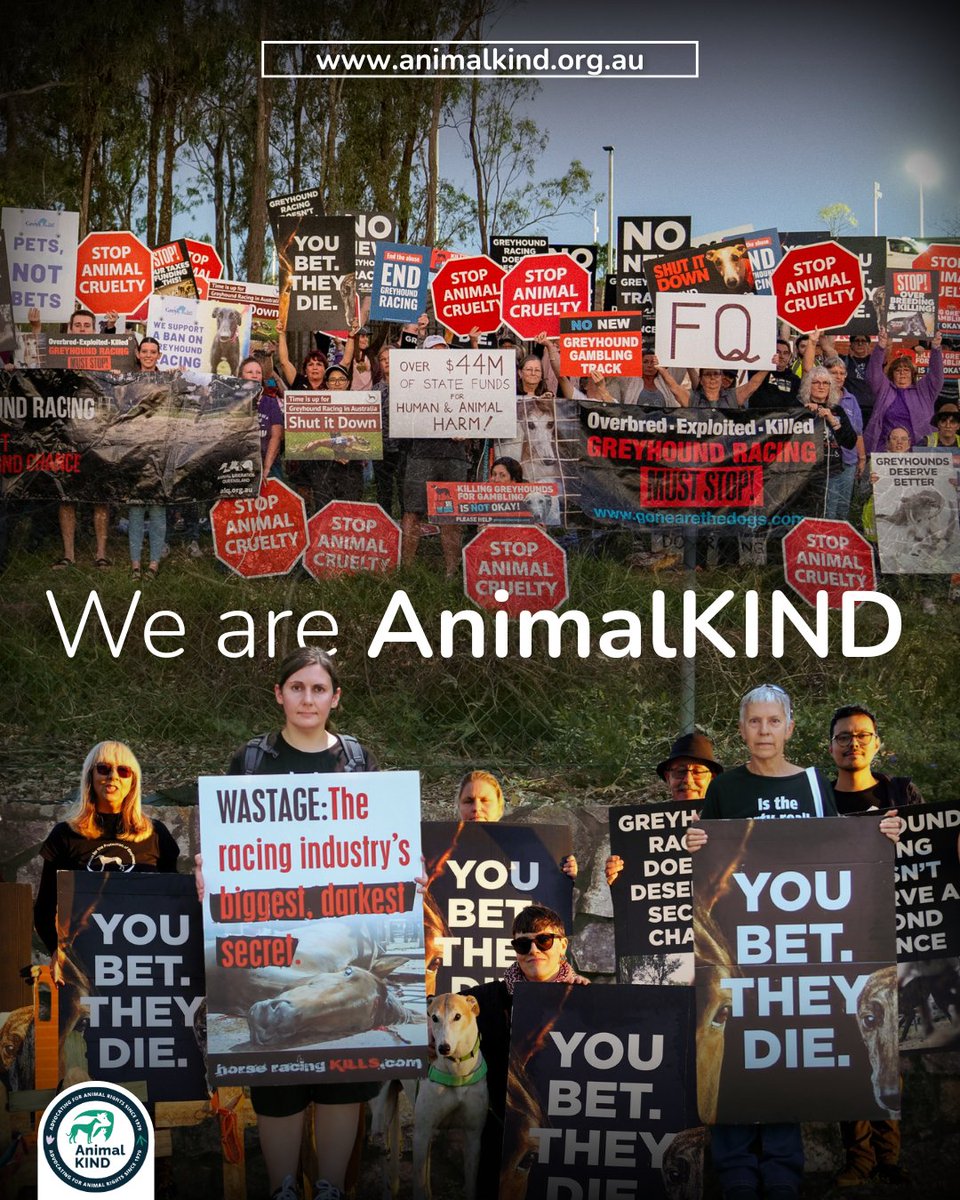 AnimalKIND tweet media