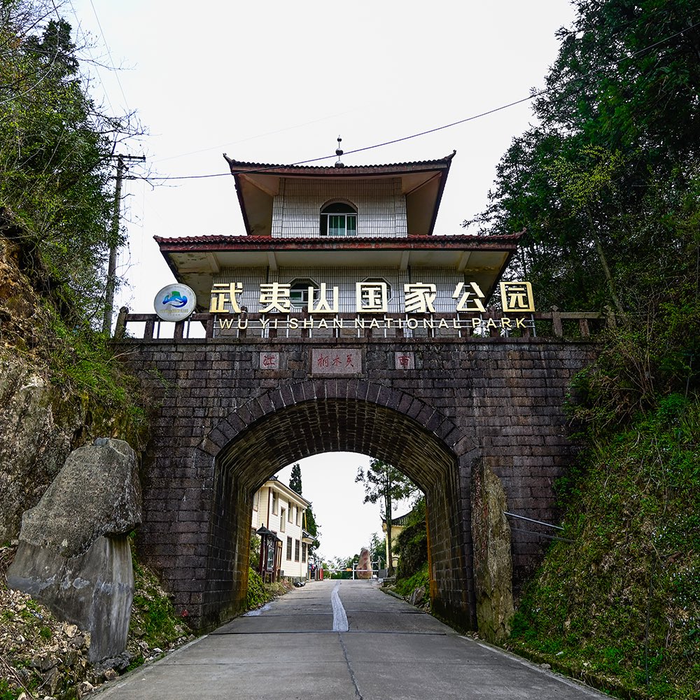 차랑 茶浪 tweet media