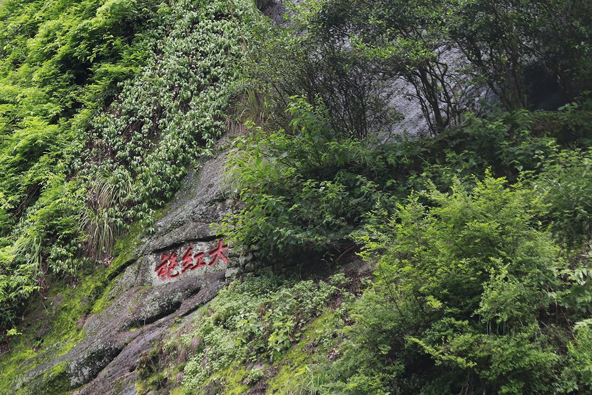 차랑 茶浪 tweet media