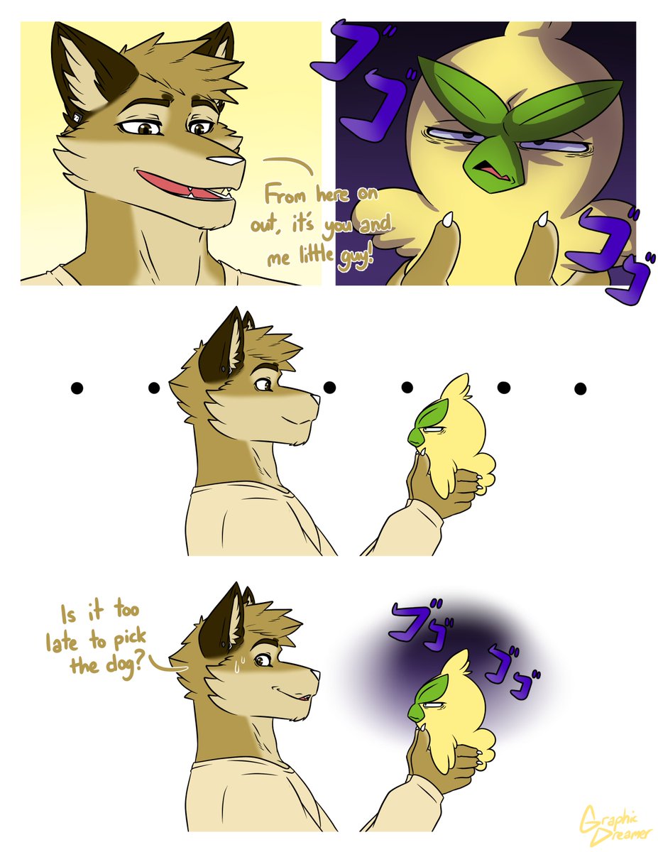 GraphicDreamer tweet media