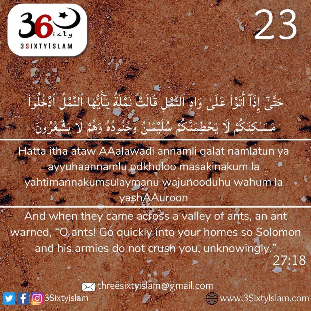 3SixtyIslam's tweet image. DAY 23,RAMADAN SPIRITUAL DIGEST
Grant us sustenance, for You are the Best of Providers. Surah Al-Ma’idah 114
Everything we have comes from Allah. In these blessed nights, increase your du’a and trust in Him for provision, mercy, and guidance.
#Ramadan #RamadanDay23 #3SixtyIslam