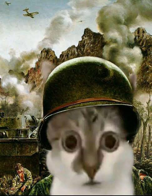 Zentreya⚡🐲⚔️ tweet media