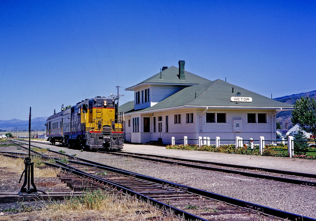 Chris 🦝 tweet media