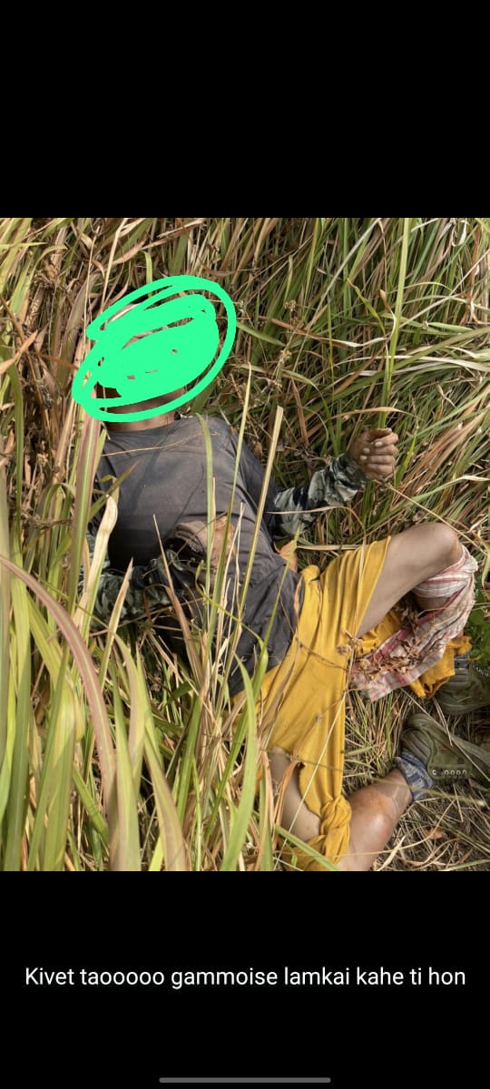 KUKI HILLS tweet media