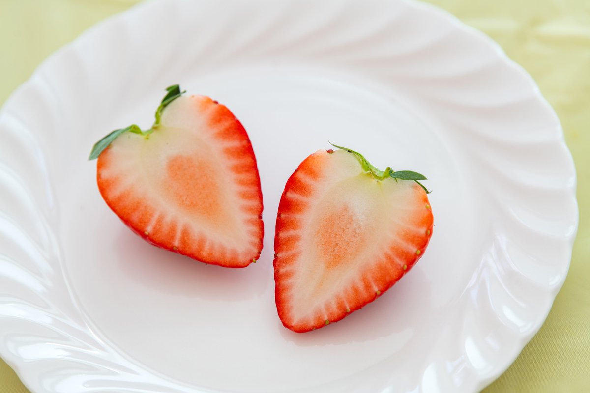 【公式】日本旅行｜赤い風船～akaaka～ tweet media