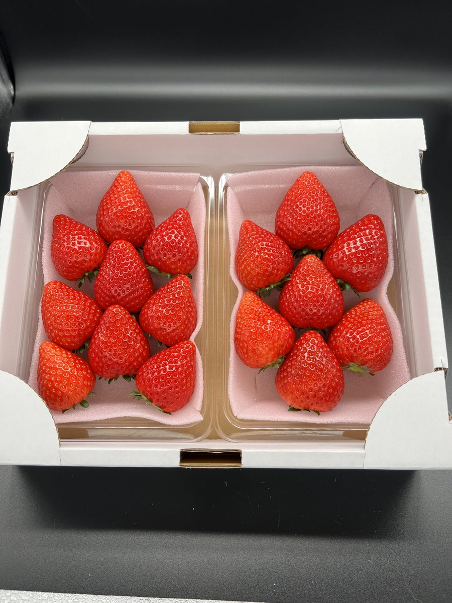 【公式】日本旅行｜赤い風船～akaaka～ tweet media