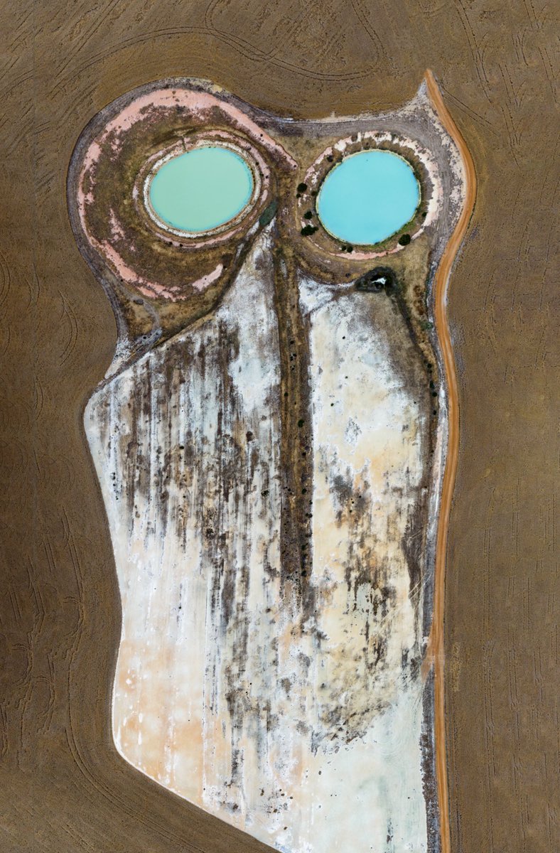 Rakesh Pulapa tweet media