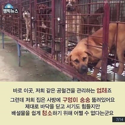 따뽀 tweet media