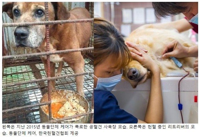 따뽀 tweet media