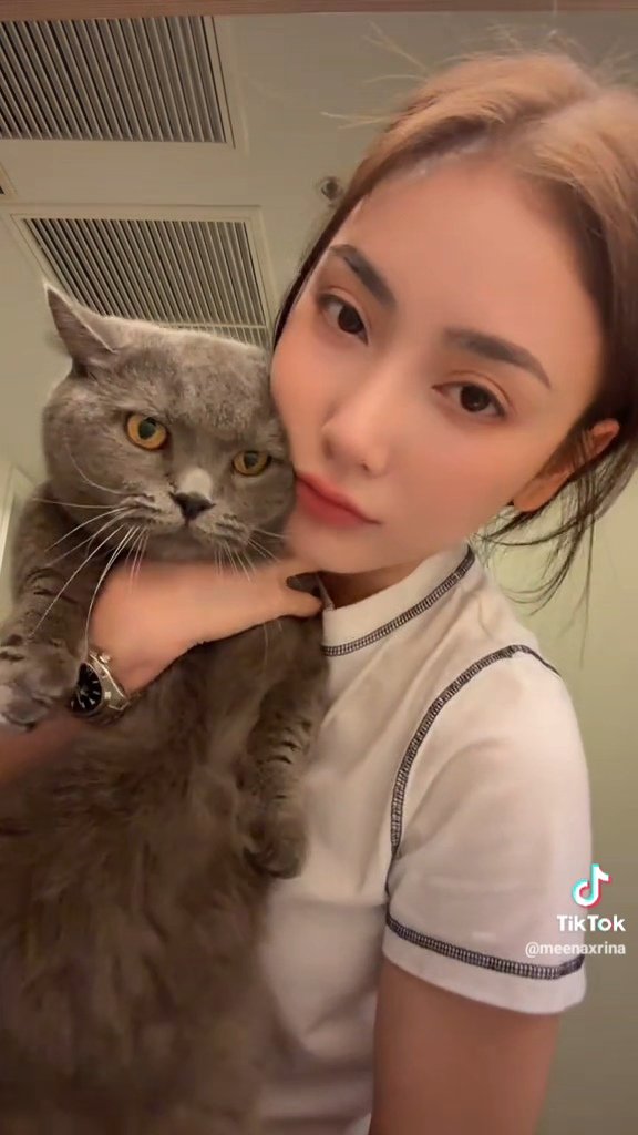 A T 😸 tweet media