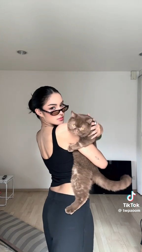 A T 😸 tweet media