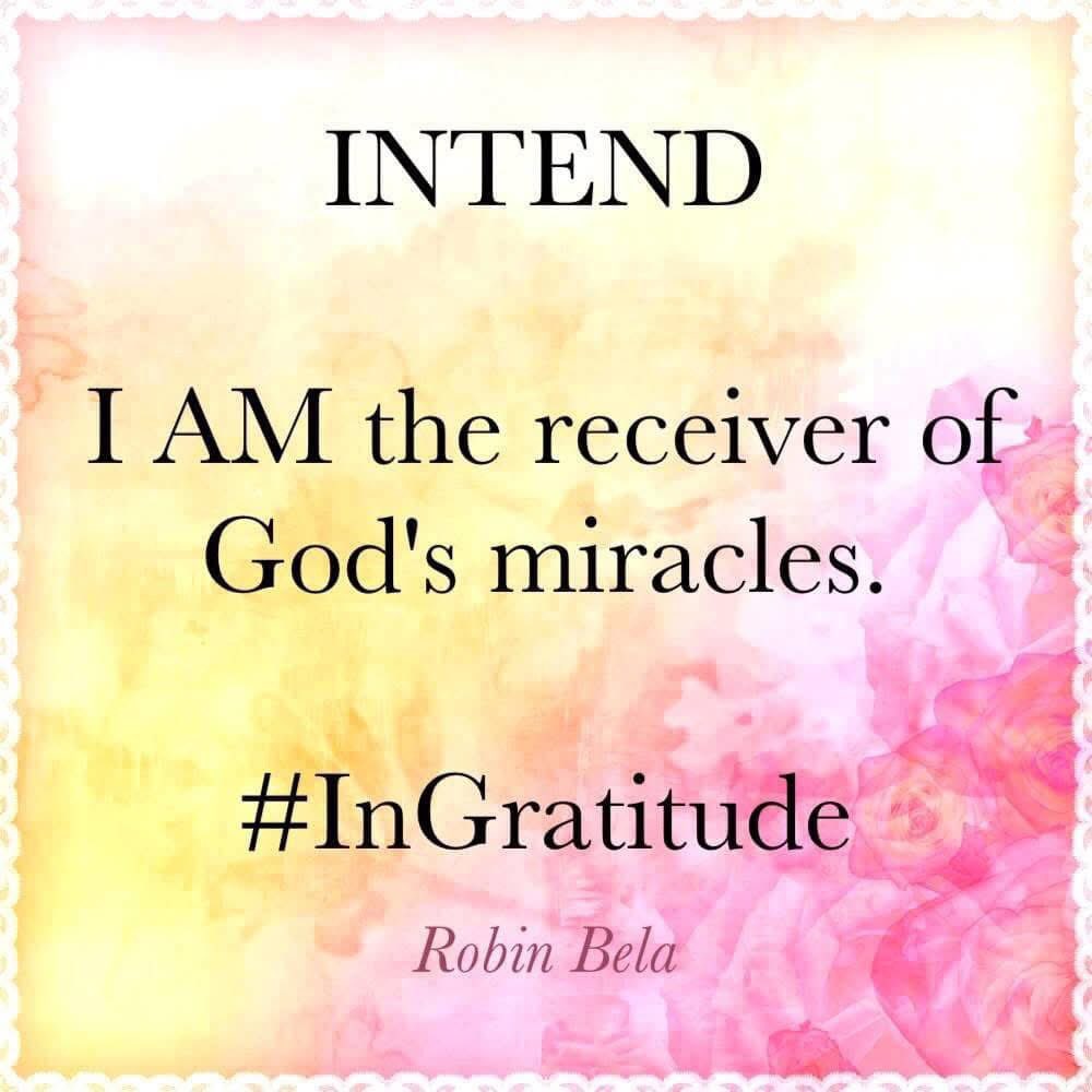 Robin Bela tweet media