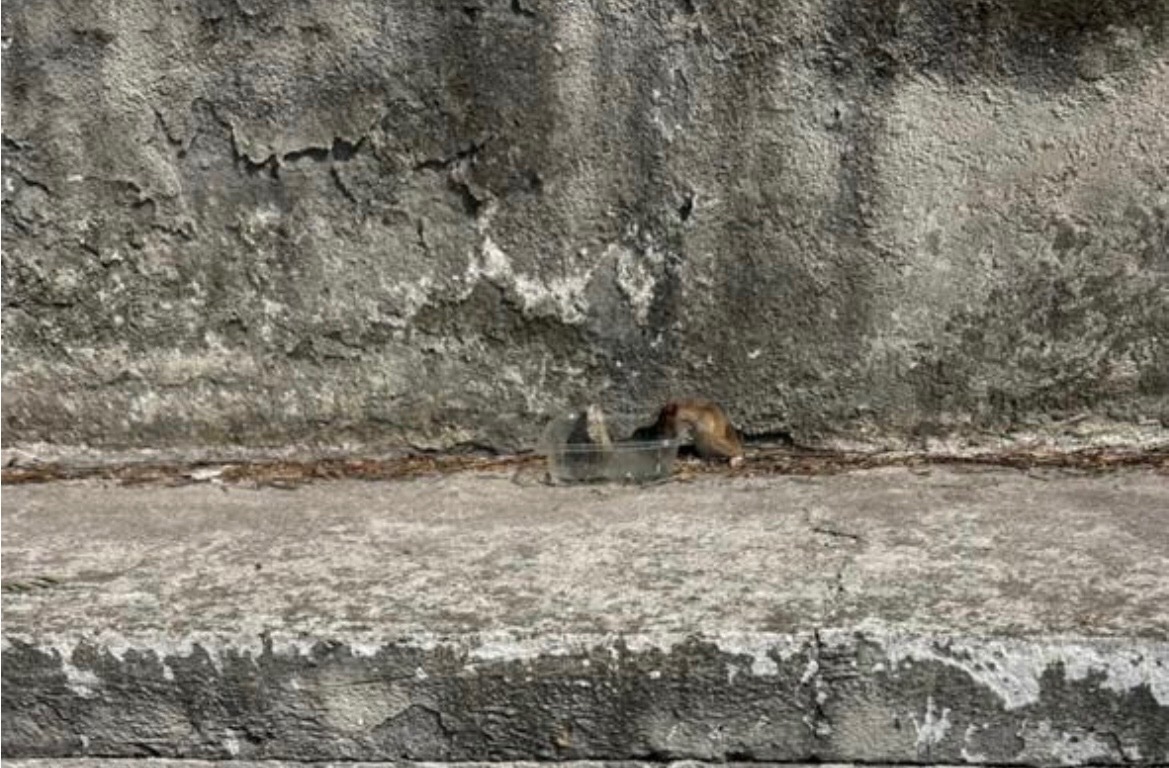 Maria Ines Camacho tweet media