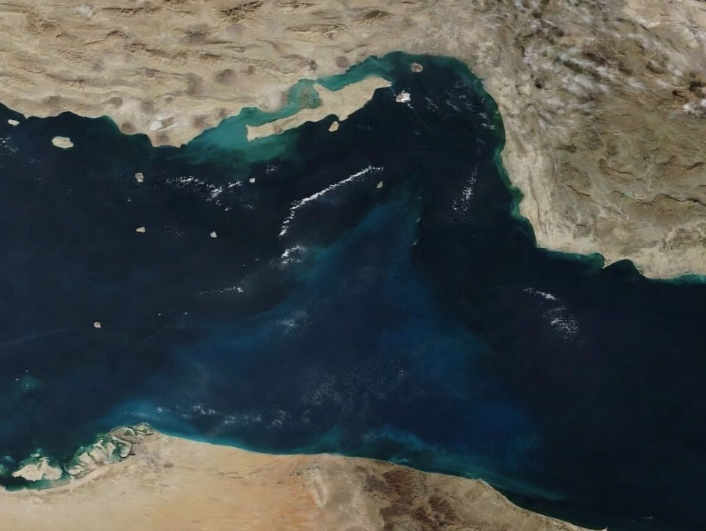 Chef Bonsaidemic: CEO of Bitcorn tweet media