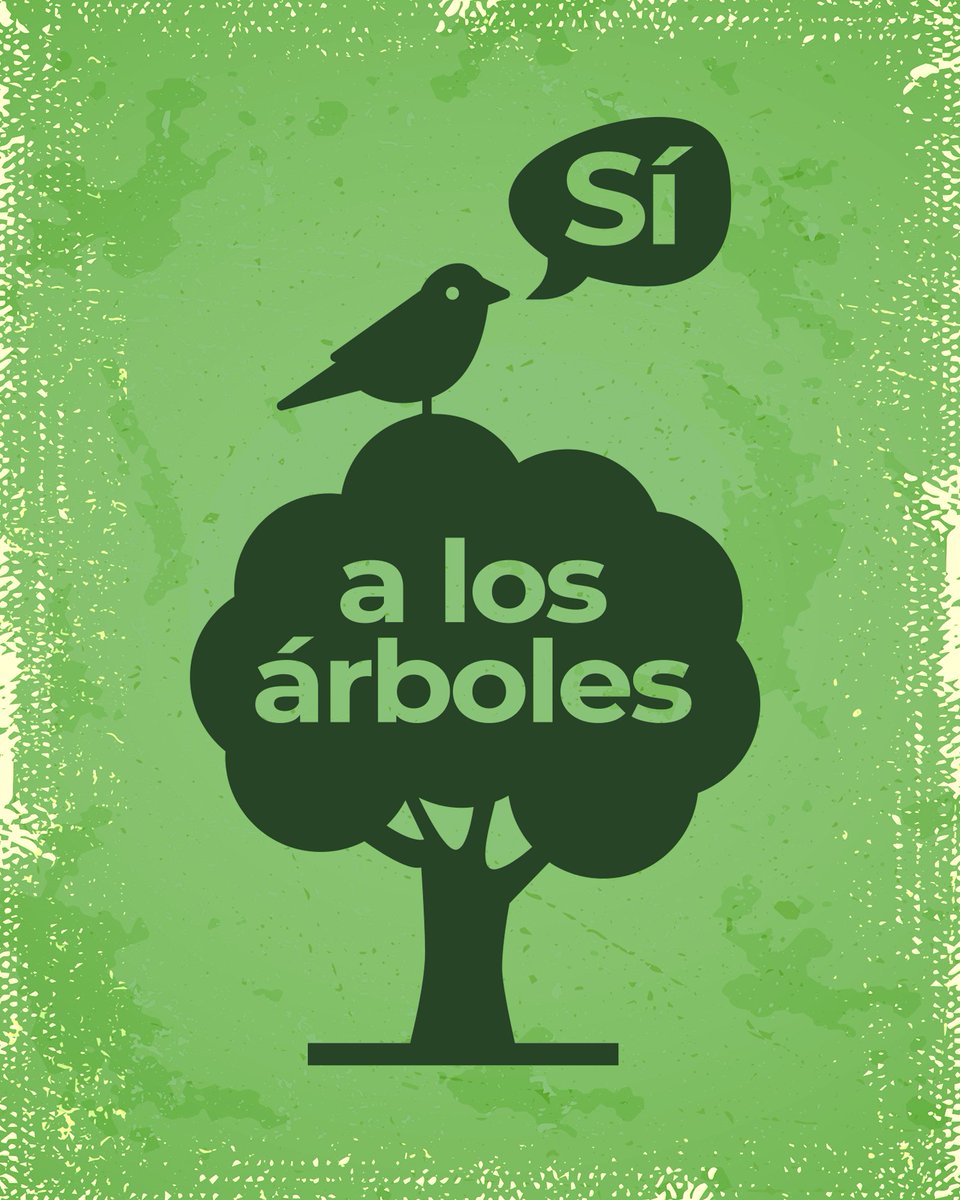 AlexViveroz's tweet photo. https://t.co/jNYUTwcgMm