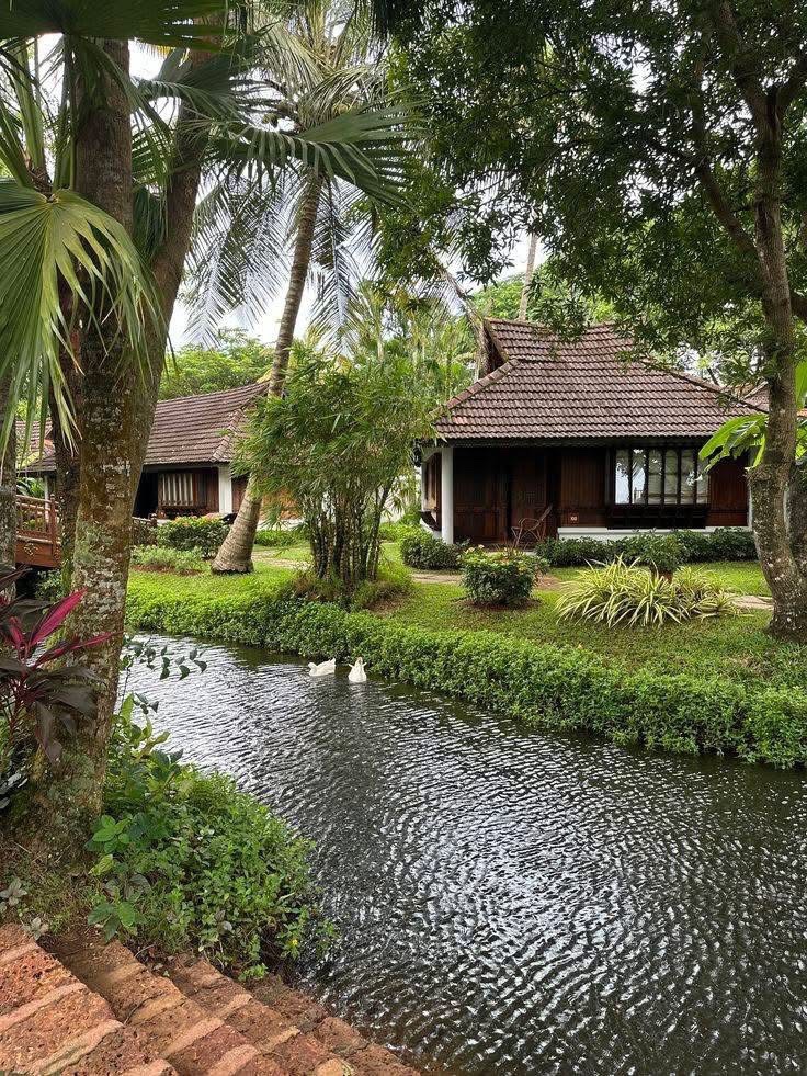 Fae°❀⋆. tweet media