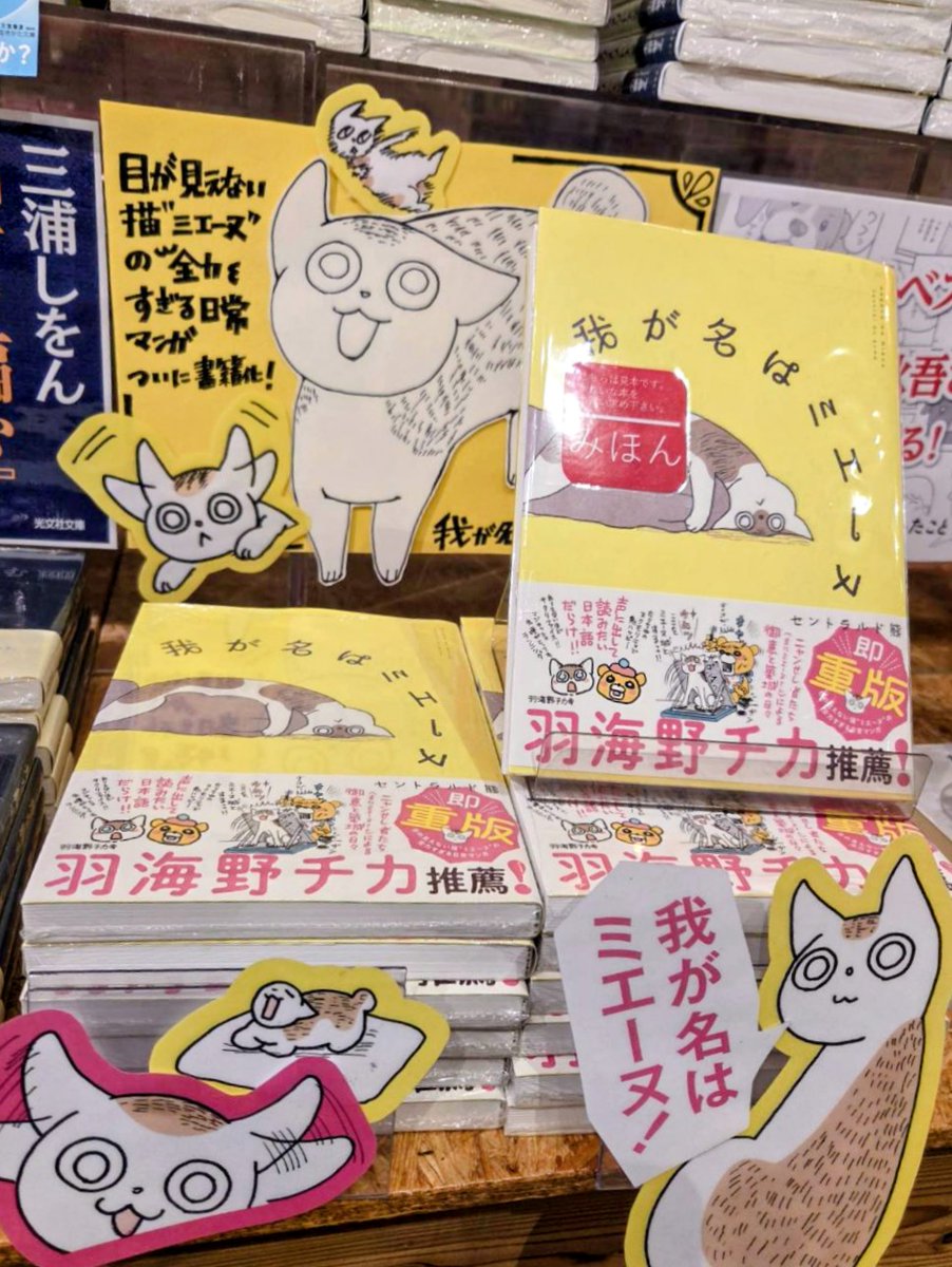 tbg_sime's tweet photo. オススメ本のご紹介
『我が名はミエーヌ』
お立ち寄りの際は是非お手に取ってご覧下さいませー
#我が書店のミエーヌ https://t.co/ZDlGx5arGO