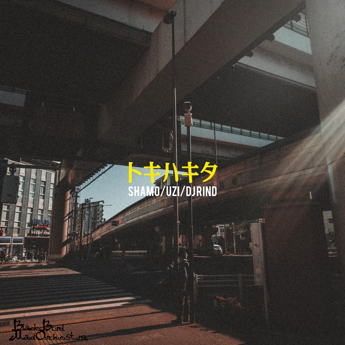 SHAMO//BBMO tweet media