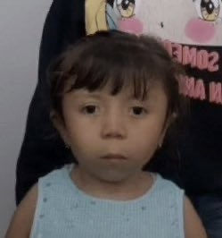 wendinosaurio rex tweet media