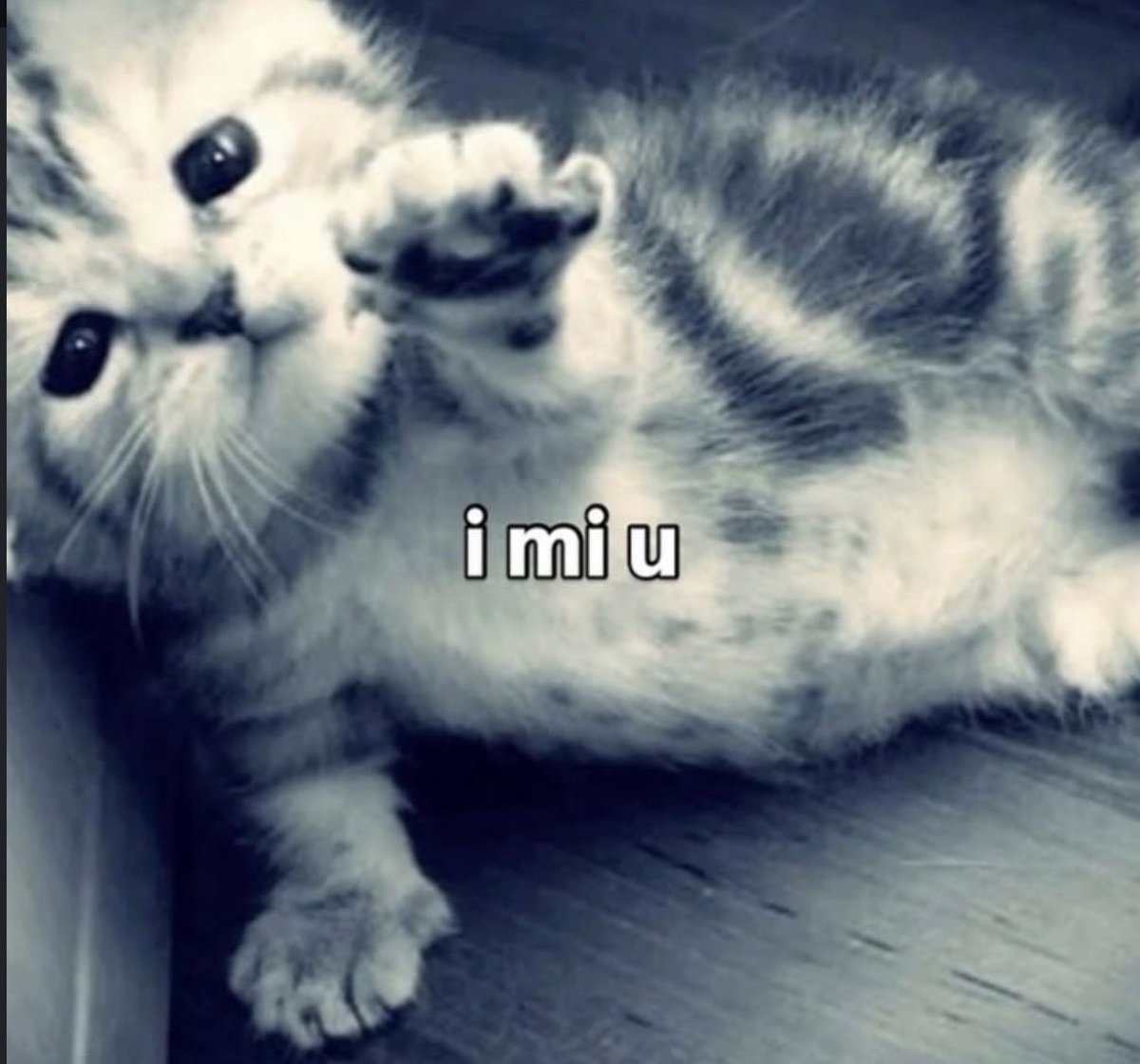 Ryan Arab tweet media