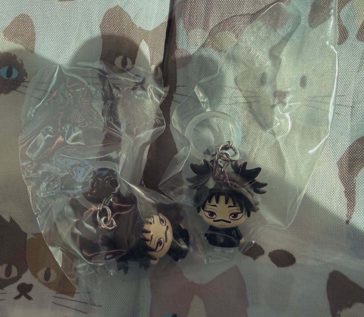 もげ太△▽ tweet media