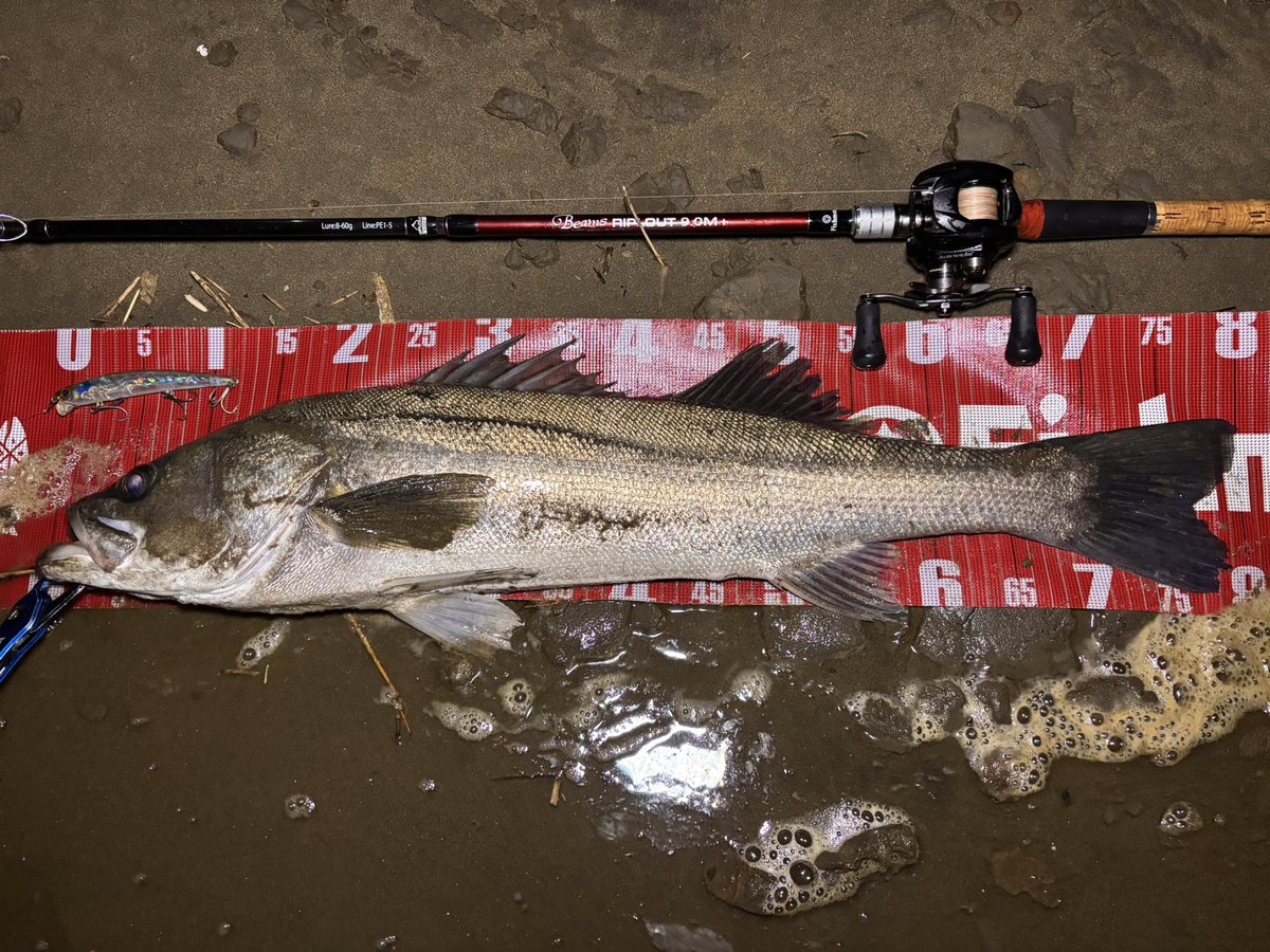 金森翼 tweet media