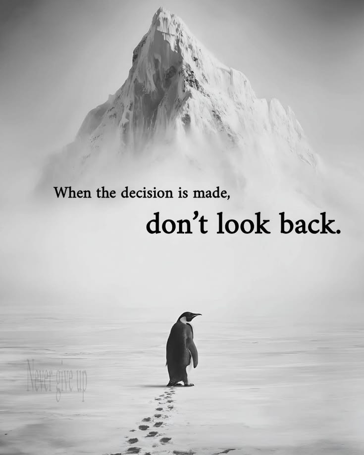 Regret💫 tweet media