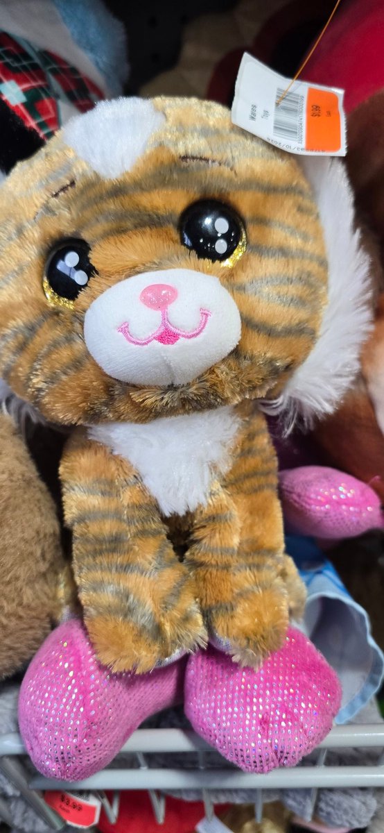 SupremeThicness's tweet photo. @RyokoFujiiEN Stinky

Also goodwill tiger https://t.co/OSZ9poqw76