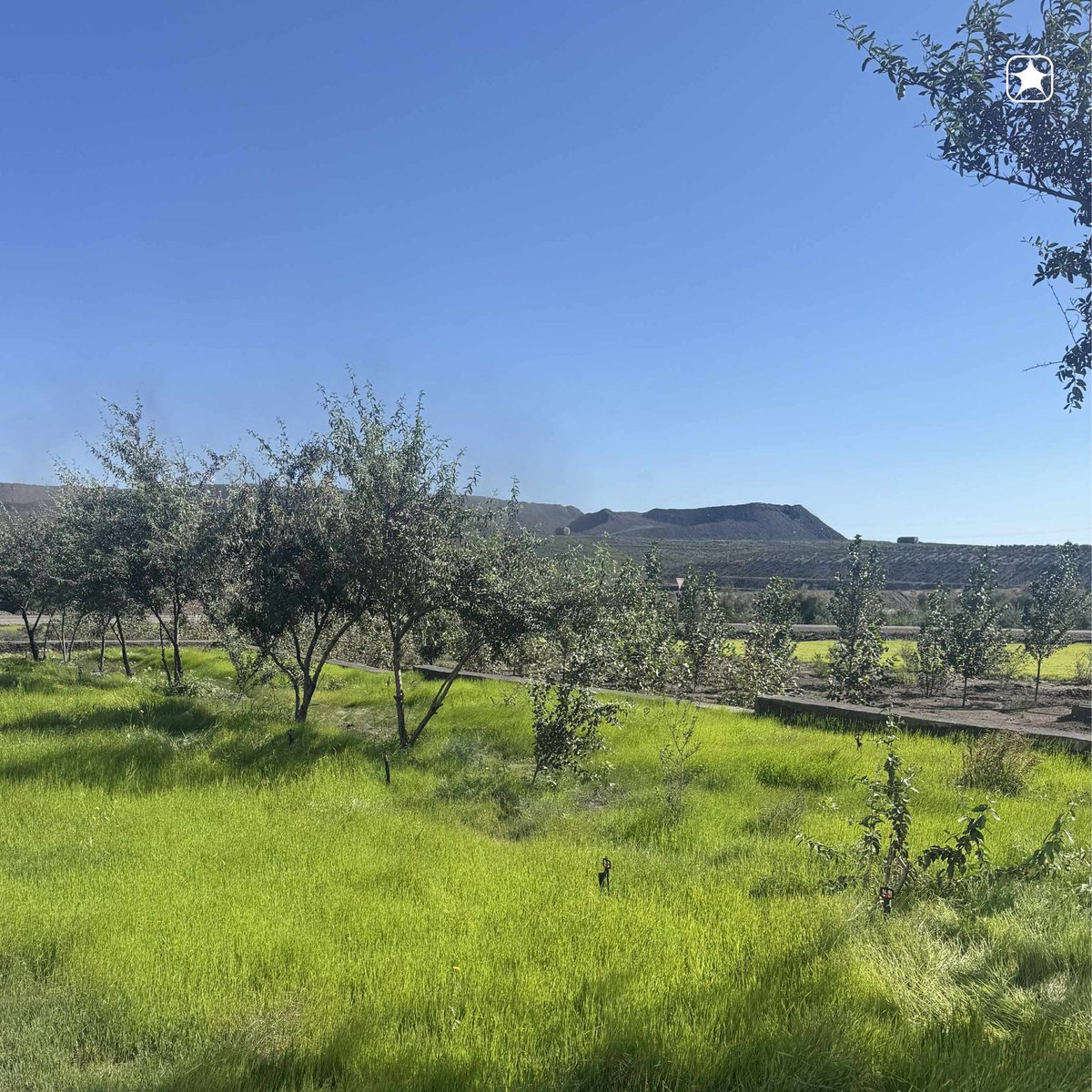 Лхамжавын Баатархүү tweet media