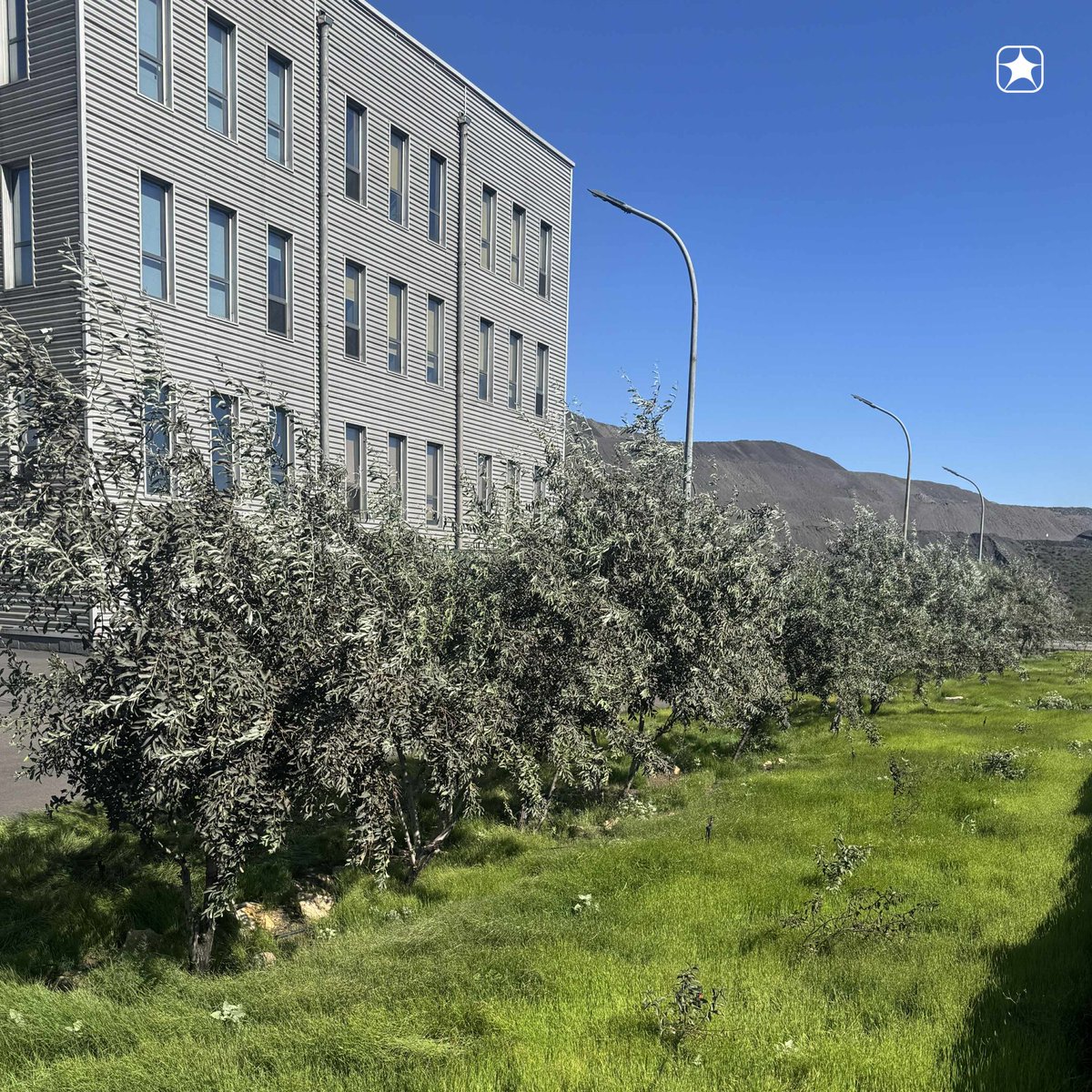 Лхамжавын Баатархүү tweet media