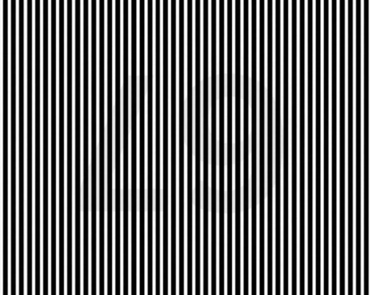 Godly Nation tweet media