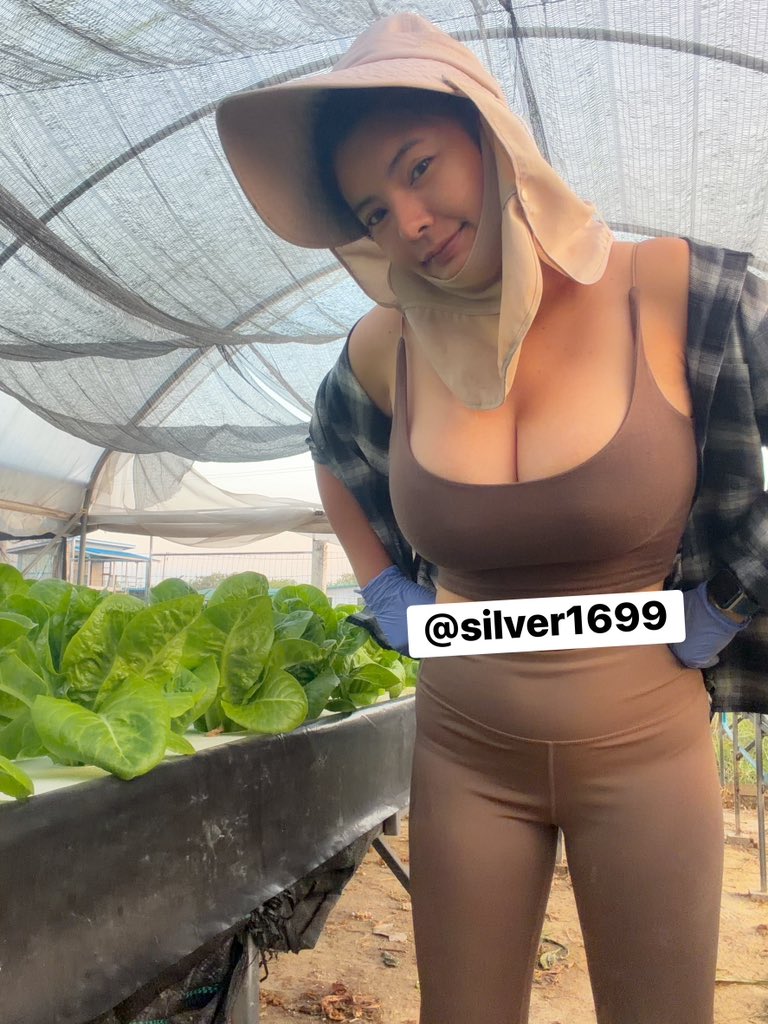 กล้วยแขก สุมิตรา🇹🇭 tweet media