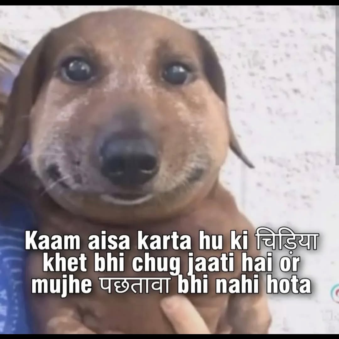 Tanmay Pathak tweet media