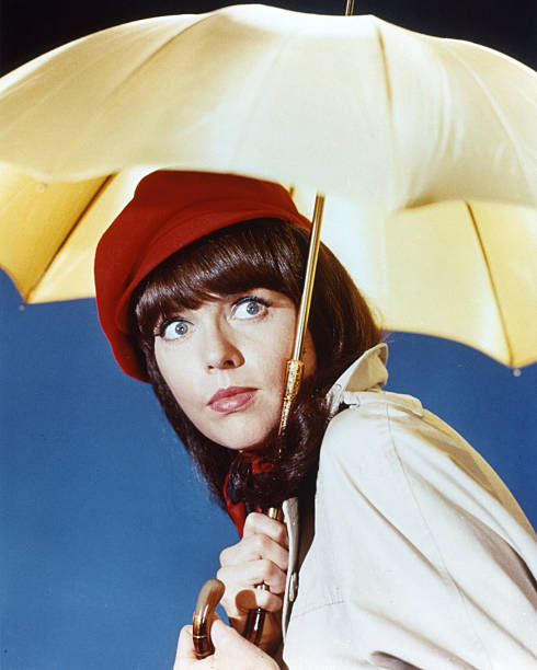 #Divas 
Barbara Feldon
12 de marzo de 1933
#Los93DeLa99