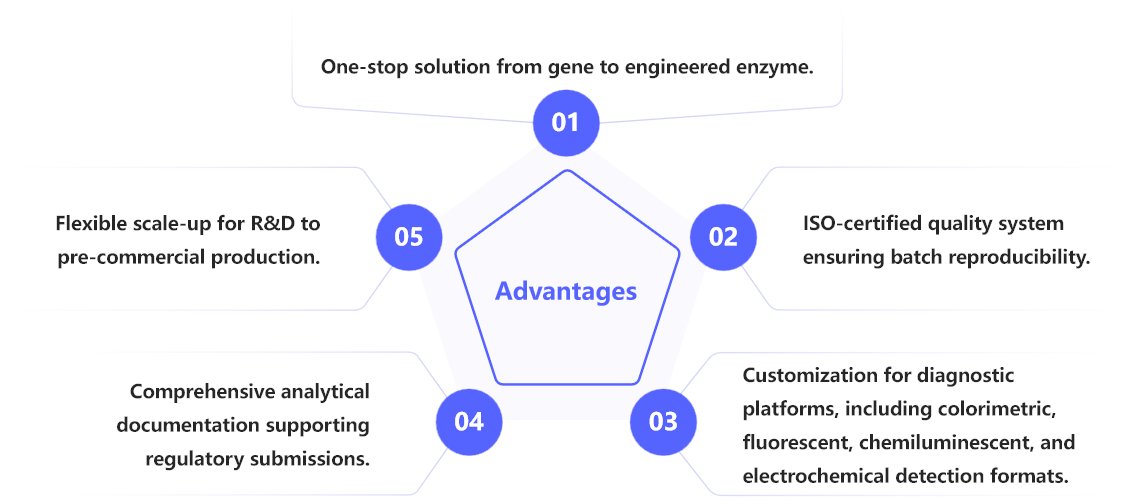 Creative Enzymes tweet media