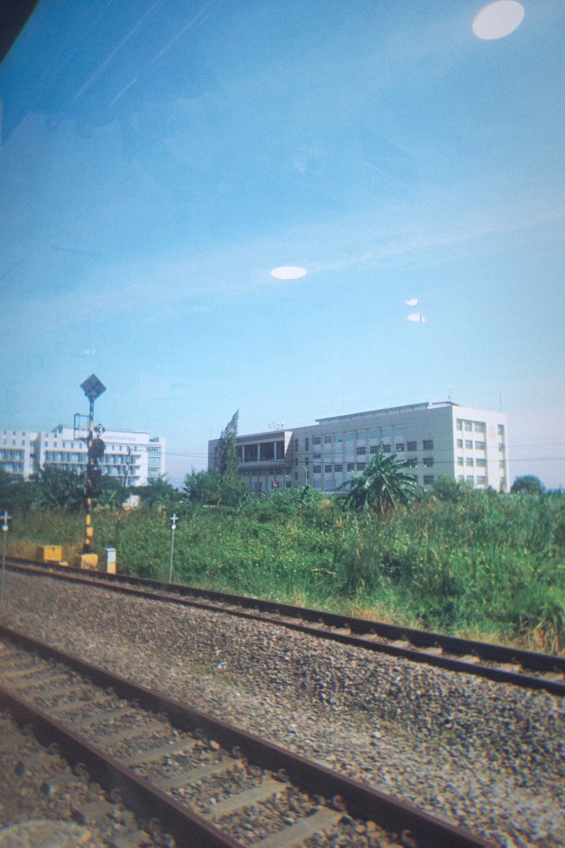 andin🧟‍♀️ tweet media