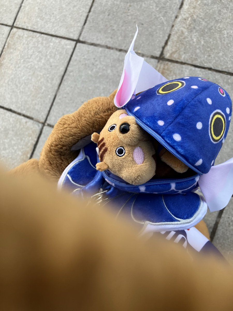 【公式】クイッキー・デッチ tweet media