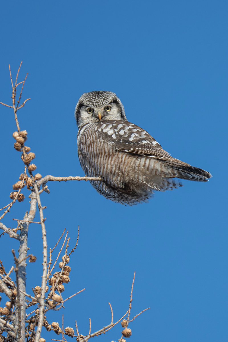 what i see vs my camera