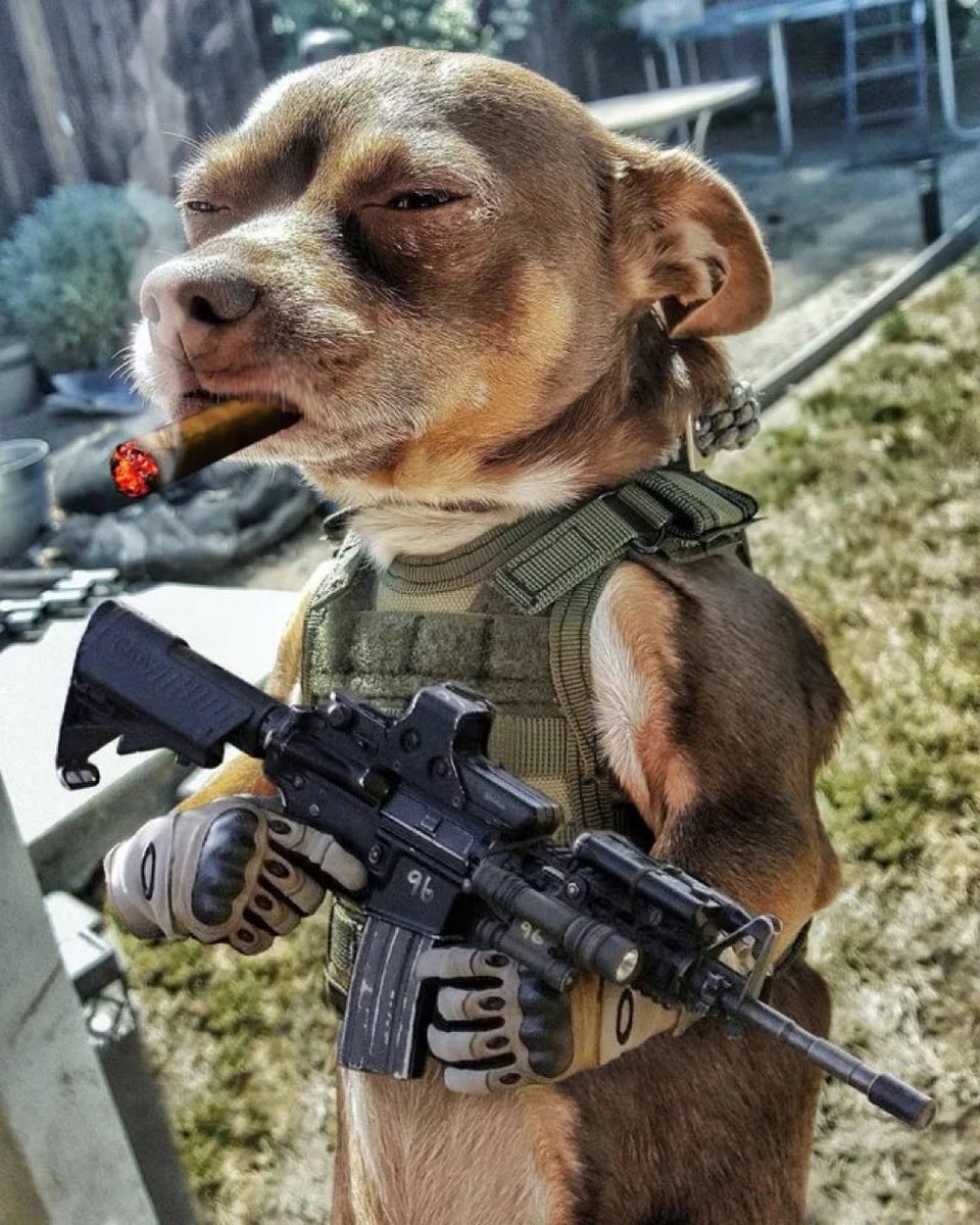 LosLocos tweet media