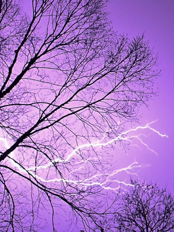 tom gilbert tweet media