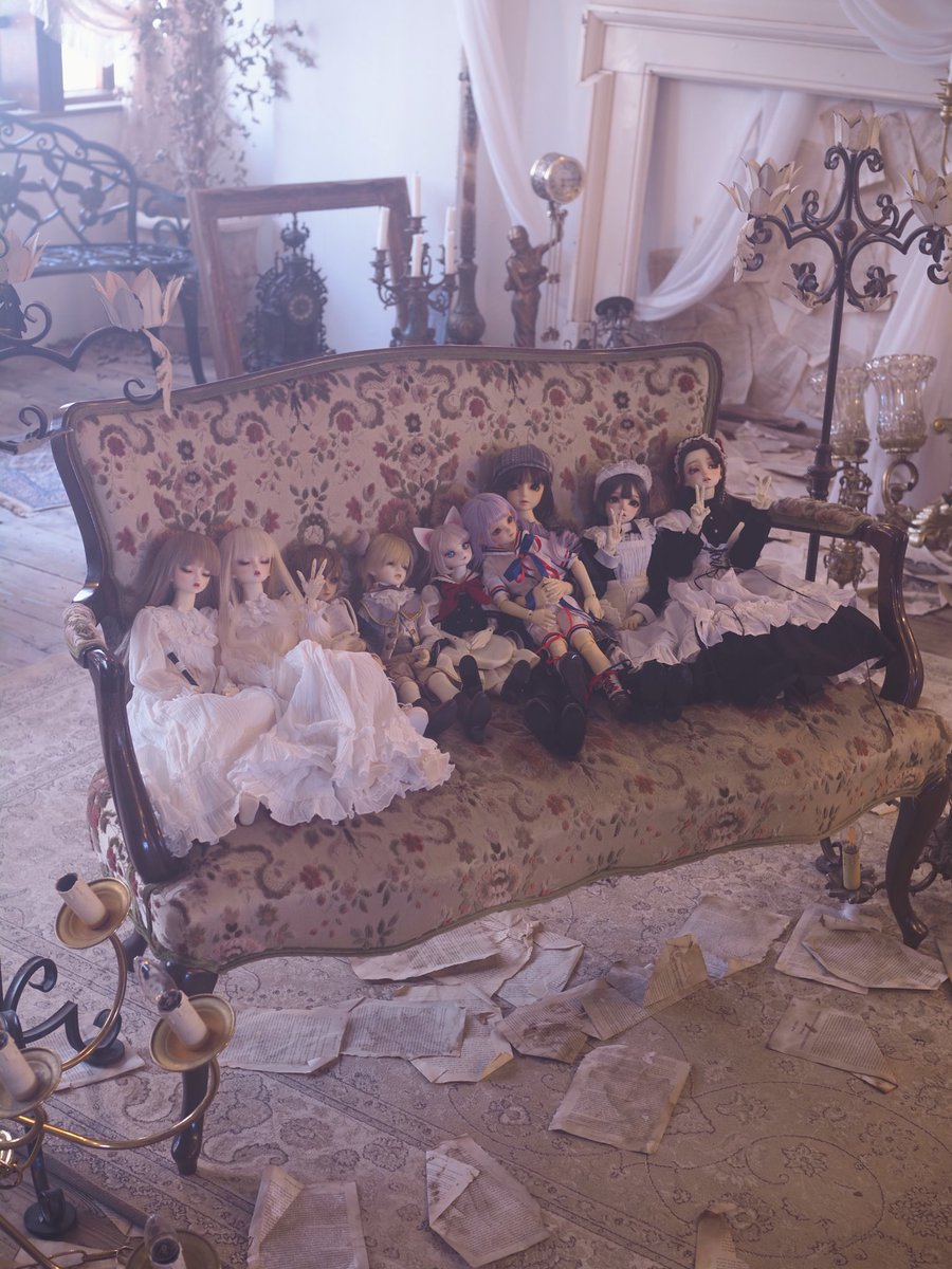 猫綿𓃠 tweet media