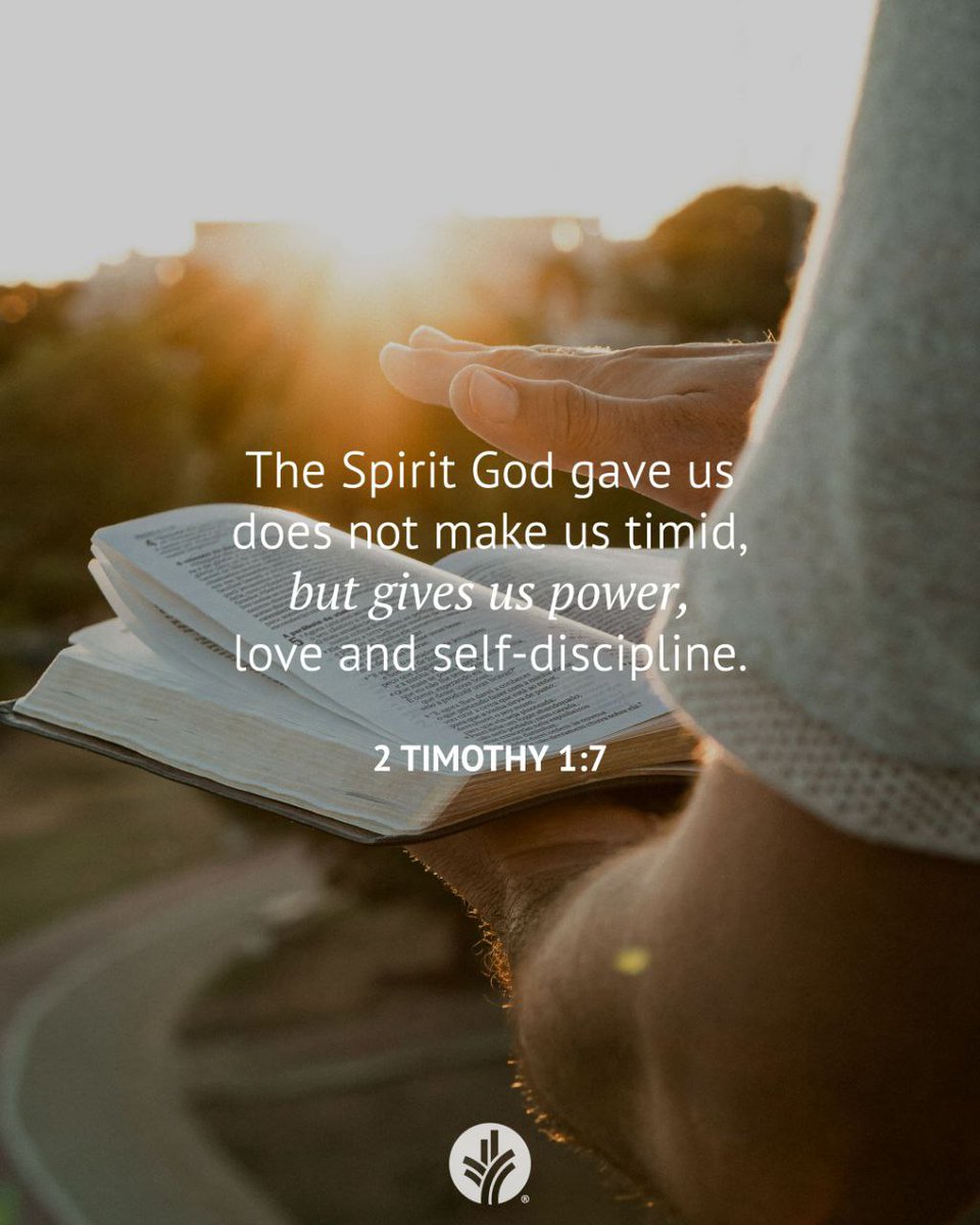 Sam ሳም ⚖️❤️💛💚 ⚖️ tweet media