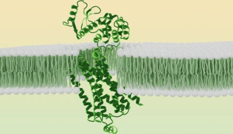 Creativepeptide's tweet photo. Improve peptide stability and membrane interaction with Peptide Lipidation. Creative Peptides provides tailored lipid conjugation strategies to support advanced peptide research.
🔗Learn more:
 https://t.co/5gkXi58bi5
#PeptideLipidation #PeptideSynthesis #Biotech #LifeScience https://t.co/ibxvCajkDQ
