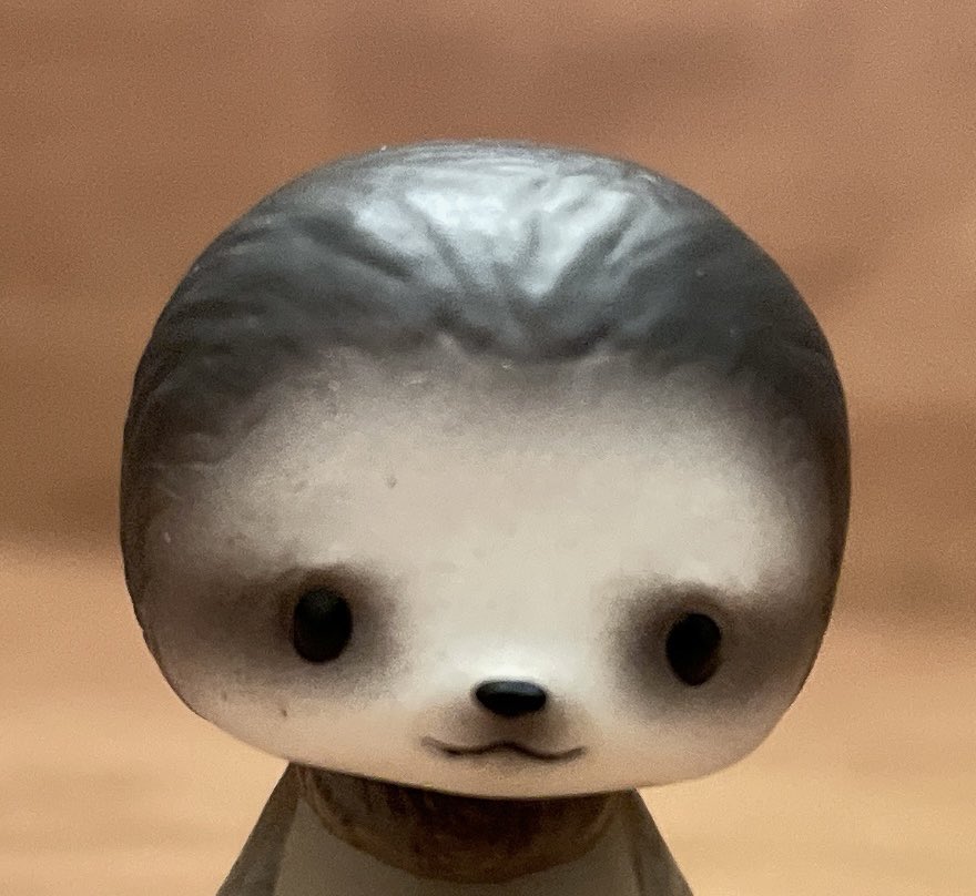 ナマケモノのkeyの日常 tweet media