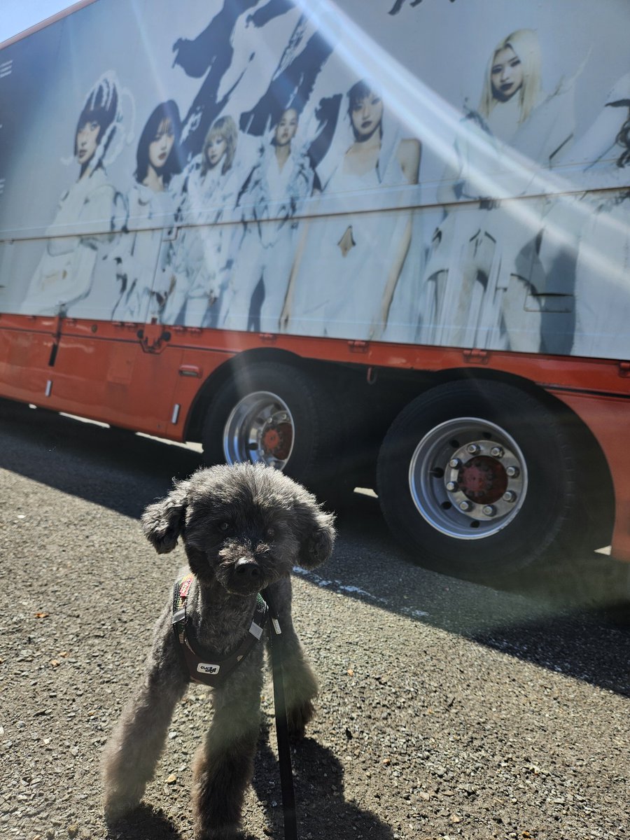 Okuyama324's tweet photo. 2026.03.12
#XG 
#サンドーム福井
愛犬の散歩でたまたま通りかかったよ♡♡
サンドームではステージ組み立てやってました♡
XG様✨楽しみですね。 https://t.co/7oVATPHxLr